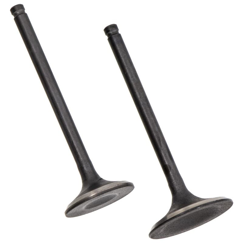 Cylinder Head Intake Exhaust Valve for Honda Rancher TRX350 14711-HN5 2000-2006
