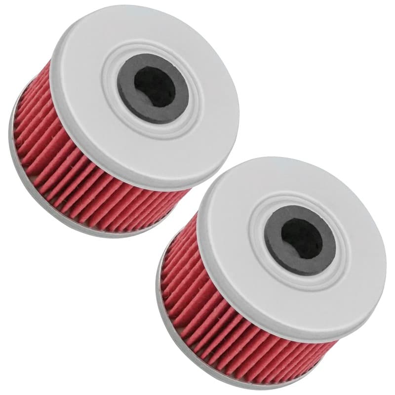 2 Pack Oil Filter Honda 450 TRX450ES TRX450S Foreman Es S 1998 1999 2000 01 02