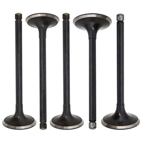 NICHE Engine Intake Exhaust Valve for Yamaha Grizzly Raptor Rhino 660 660R