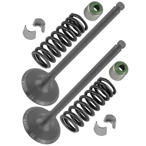 2x Intake Valve Kit for Yamaha 5NL-12112-30-00 5NL-12113-10-00 1HX-12118-00-00