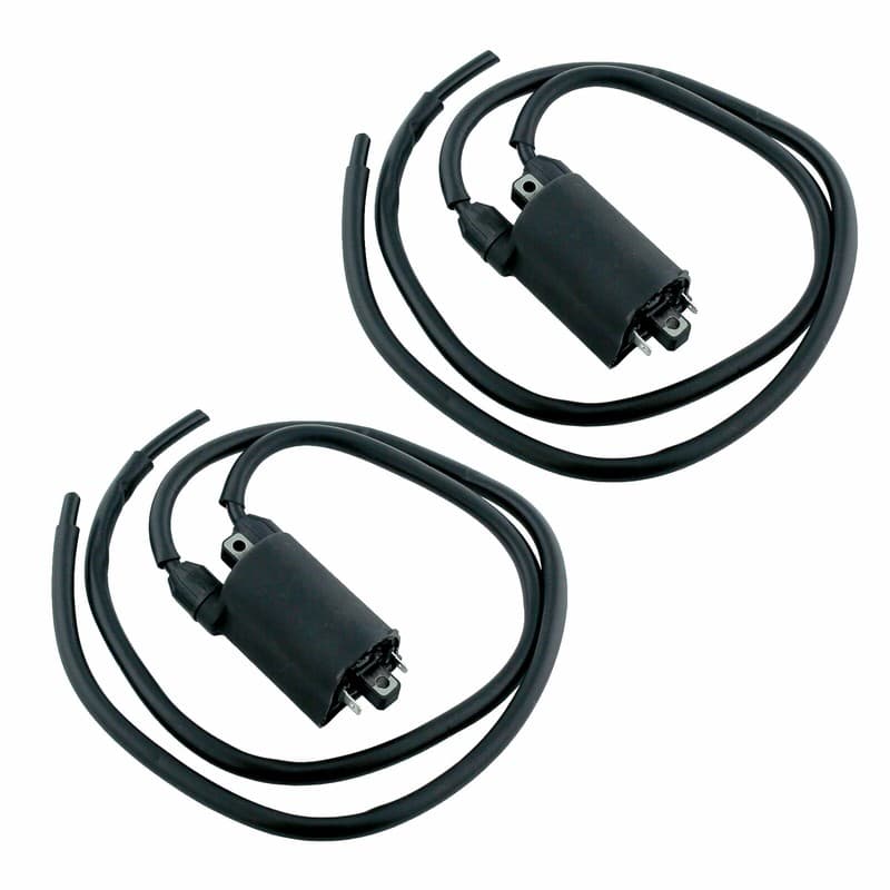 2 Sets Of Ignition Coil for Honda VF700C Magna 1987 / ST1100P 2003