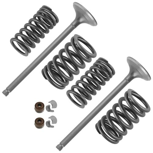 2x Exhaust Valve Kit for Honda Sportrax 400 TRX400EX 2x4 1999 2000 2001-2008