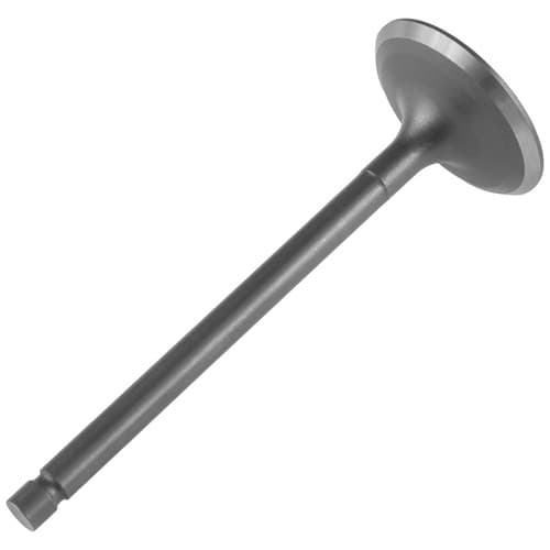 Intake Valve for Yamaha Timberwolf 250 YFB250FW 4WD 1994-2000