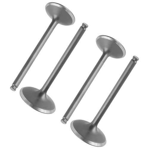 Intake Valves & Exhaust Valves For For Yamaha 1SL-12121-00-00 1SL-12111-00-00
