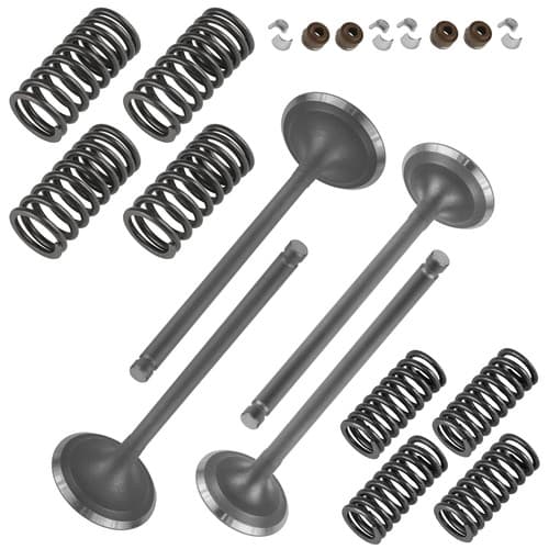 Valve Kit for Honda Foreman Rubicon 500 TRX500FGA 2004-2008 Cylinder Head