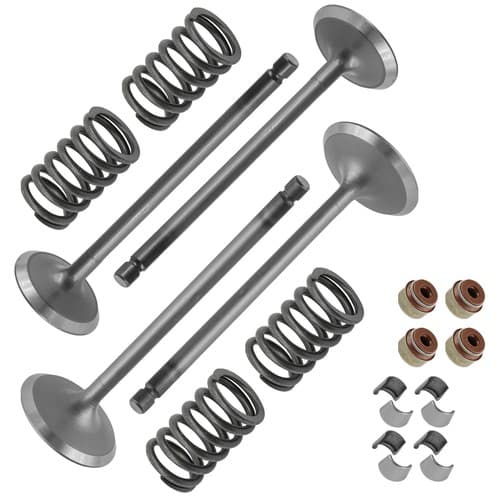 Caltric 0809-228 0809-229 0809-231 Intake & Exhaus Valve Kit For Arctic Cat