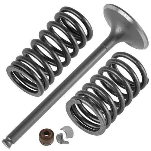 Intake Valve Kit for Honda FourTrax 300 TRX300 2x4 TRX300FW 4x4 1988 1989-2000
