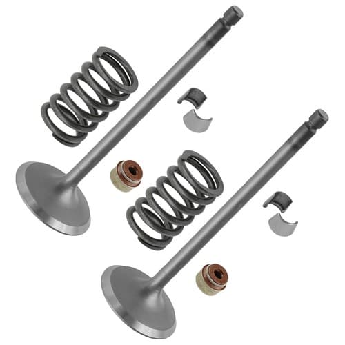 Caltric 0809-228 0809-231 0830-186 0809-233 Intake Valve Kit For Arctic Cat