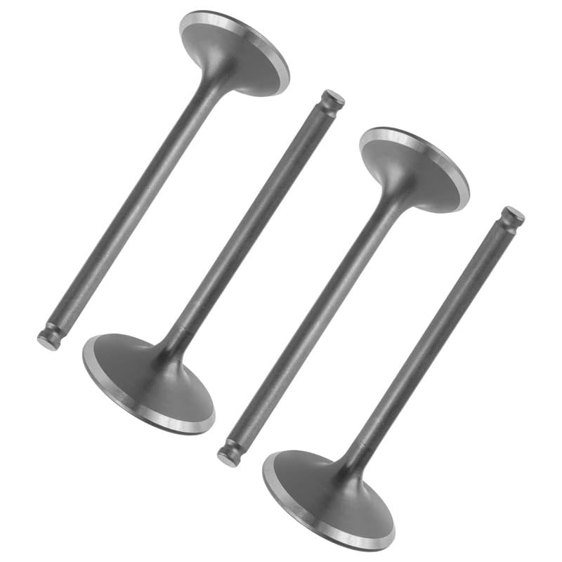 Intake Valves & Exhaust Valves For For Yamaha 33D-12111-00-00 33D-12121-00-00