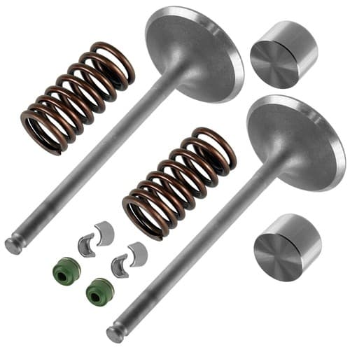 2x Intake Valve Kit for Suzuki King Quad 750 LTA750X 4x4 2008-2009 2011-2022