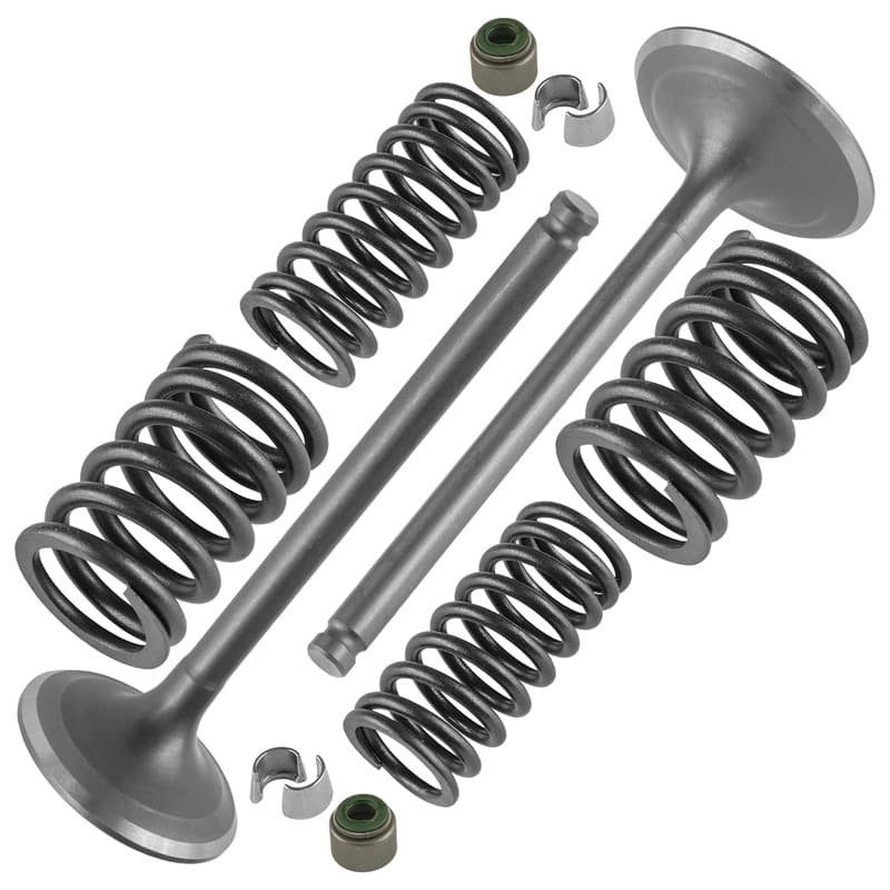Intake & Exhaust Valve Kit For Honda Pioneer 500 520 SXS500 SXS520 2015-2021